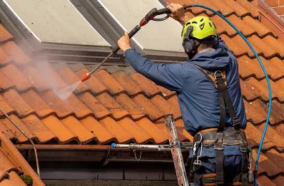 Démoussage et hydrofuge de toiture à Bellecombe